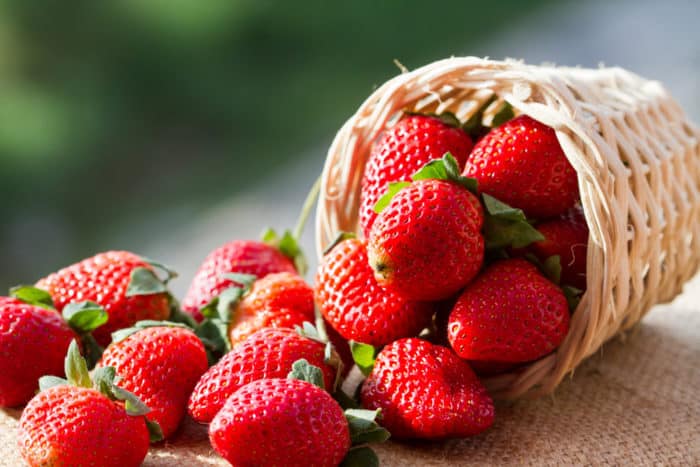 딸기 과일의 장점